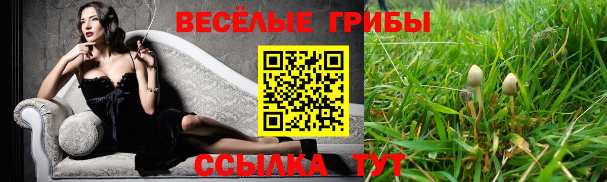 Галлюциногенные грибы Psilocybine cubensis  Вход с VPN  Сызрань  Галлюциногенные грибы Cubensis 